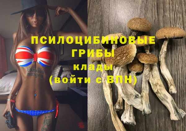 кокаин Алексеевка