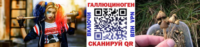 Псилоцибиновые грибы Psilocybe наркота ссылка на мегу зеркало Чебоксары
