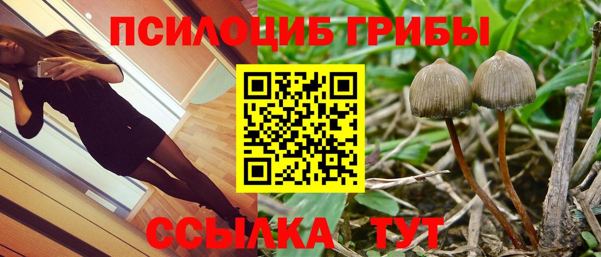 Псилоцибиновые грибы мухоморы Чебоксары