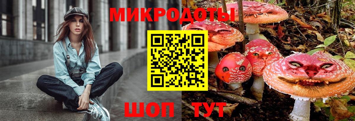 Псилоцибиновые грибы ЛСД  Вход с VPN  Чебоксары  Псилоцибиновые грибы Psilocybe 
